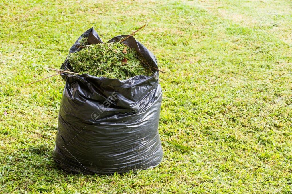 Garden and yard clean up